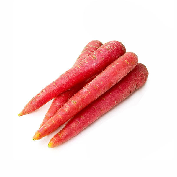 Produktfoto zu Möhre "rote Helene"