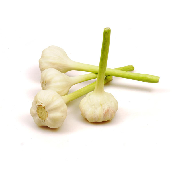 Produktfoto zu Knoblauch, frisch