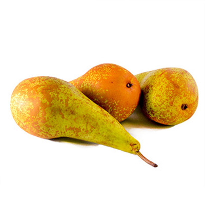 Produktfoto zu Birne Conference