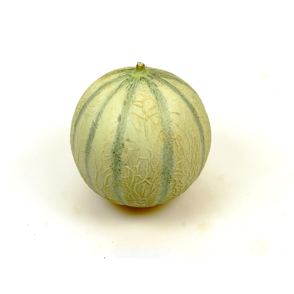 Produktfoto zu Cantaloup Melone, klein, ca. 450-550 g