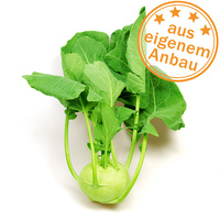 KI generiert: Drei Zucchini; Text: "Aktionspreis ab 1 kg, aus eigenem Anbau".