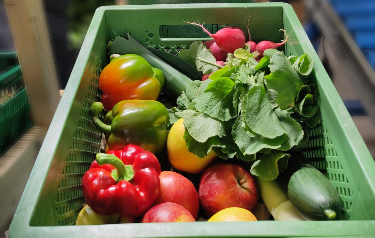 Mehrwegkiste der Ökokiste Bosshammersch Hof mit aufschrift Allgemeine Geschäftsbedingungen