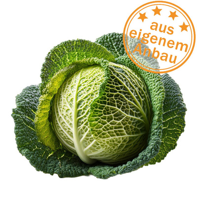 Produktfoto zu Wirsing, eigen