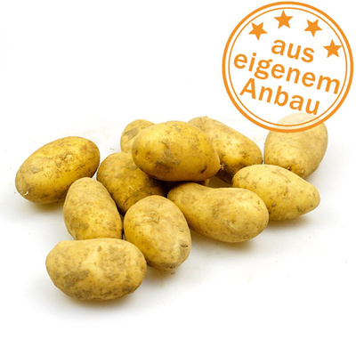 Produktfoto zu Frühkartoffeln 2 kg, eigen